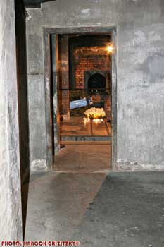 IMG_ (11833)
